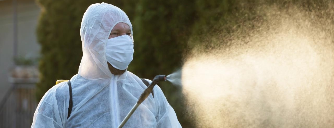 Sanitizacion